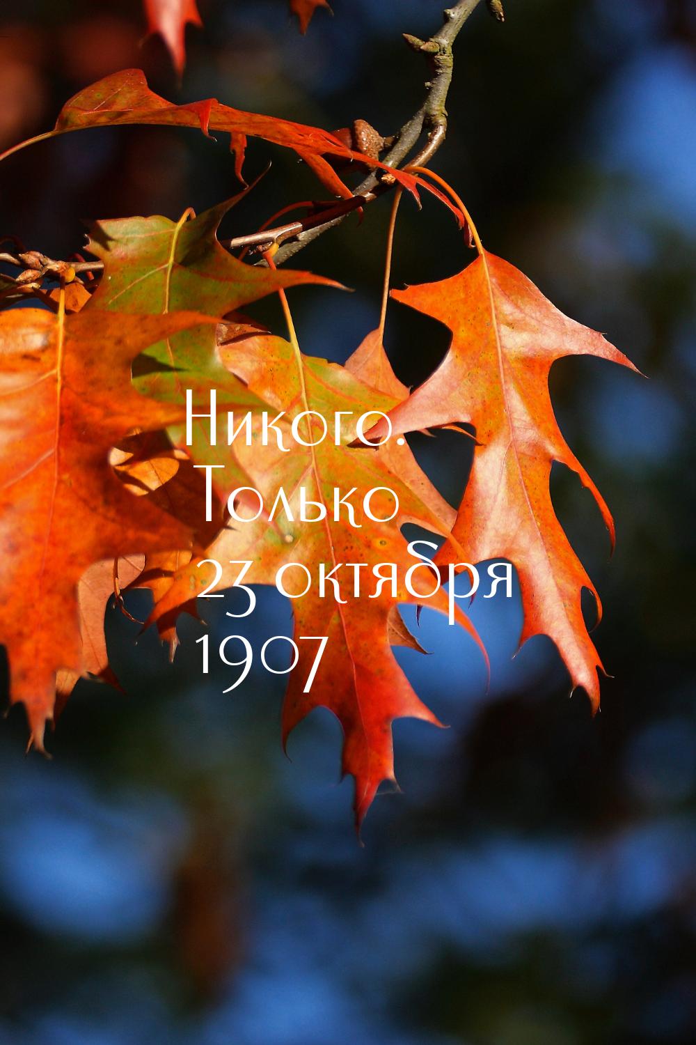 Никого. Только 23 октября 1907