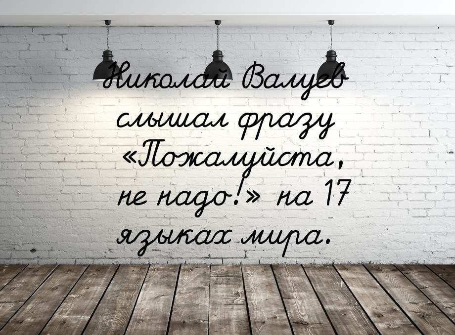 Николай Валуев слышал фразу Пожалуйста, не надо! на 17 языках мира.