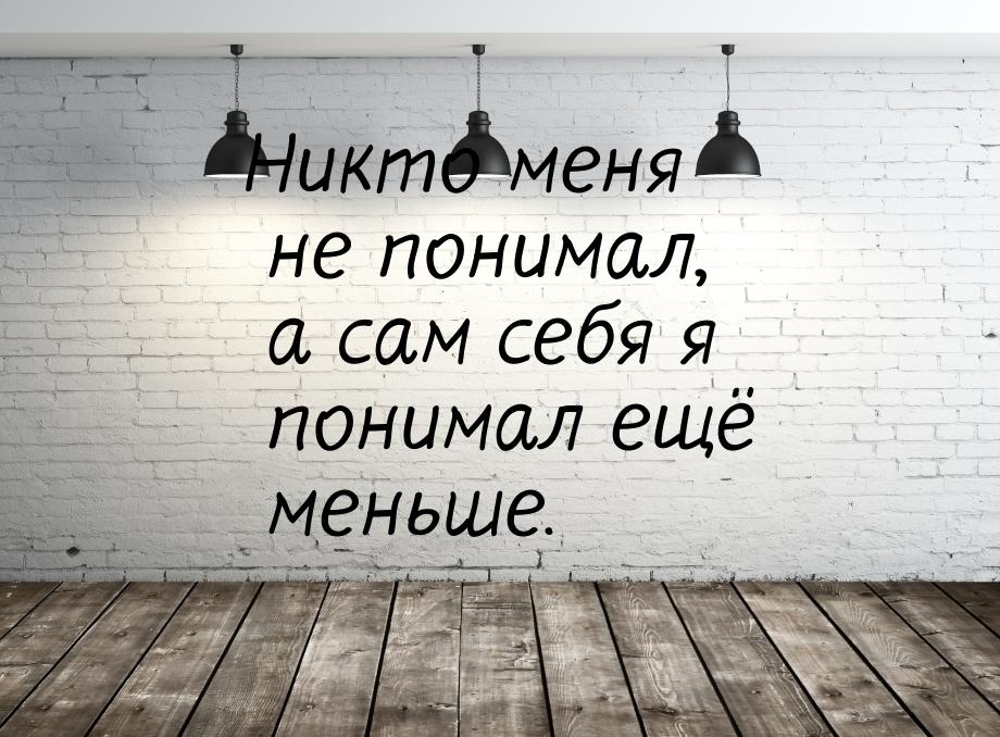 Никто меня не понимал, а сам себя я понимал ещё меньше.