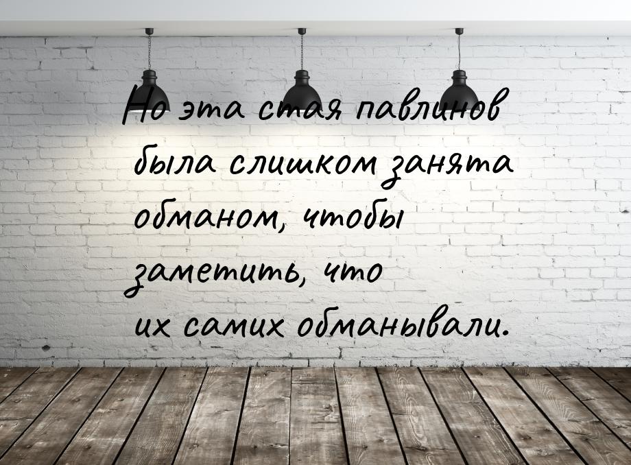 Но эта стая павлинов была слишком занята обманом, чтобы заметить, что их самих обманывали.