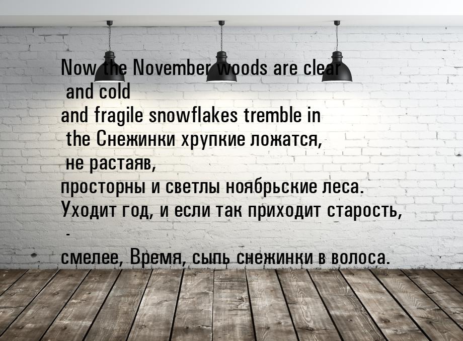 Now the November woods are clear and cold and fragile snowflakes tremble in the Снежинки х