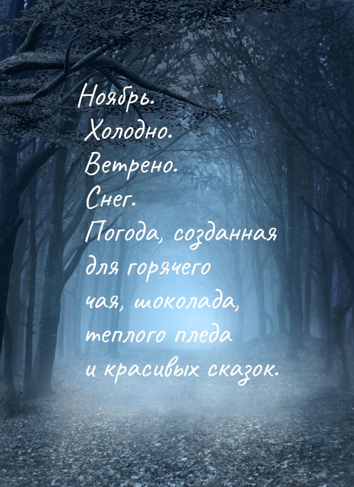 Ноябрь. Холодно. Ветрено. Снег. Погода, созданная для горячего чая, шоколада, теплого плед