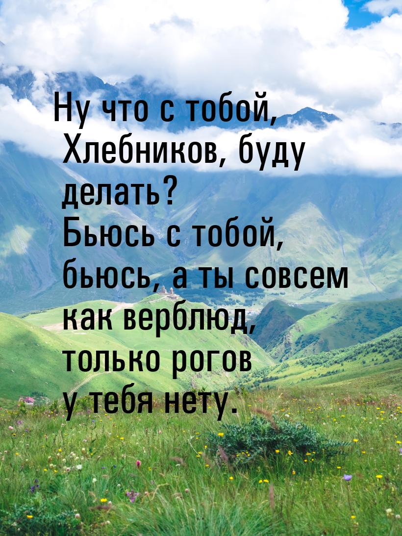 Ну что с тобой, Хлебников, буду делать? Бьюсь с тобой, бьюсь, а ты совсем как верблюд, тол