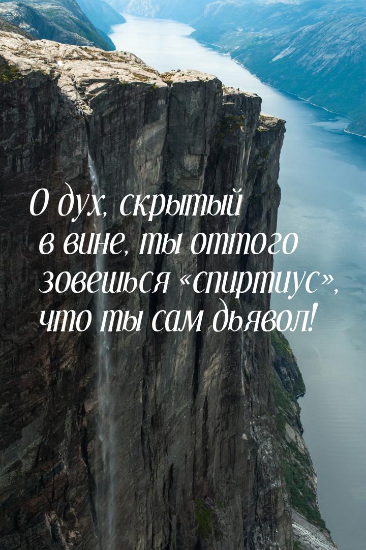 О дух, скрытый в вине, ты оттого зовешься спиртиус, что ты сам дьявол!