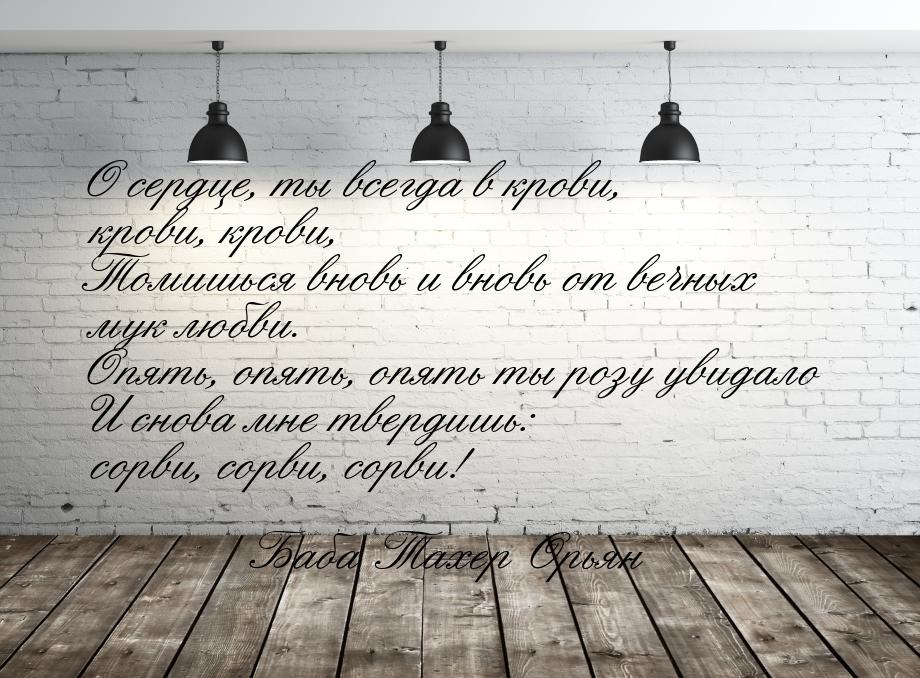 О сердце, ты всегда в крови, крови, крови, Томишься вновь и вновь от вечных мук любви. Опя