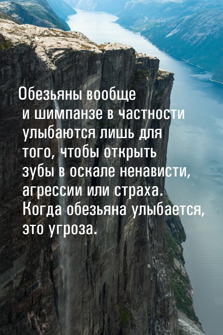 Oбезьяны вообще и шимпанзе в частности улыбаются лишь для того, чтобы открыть зубы в оскал