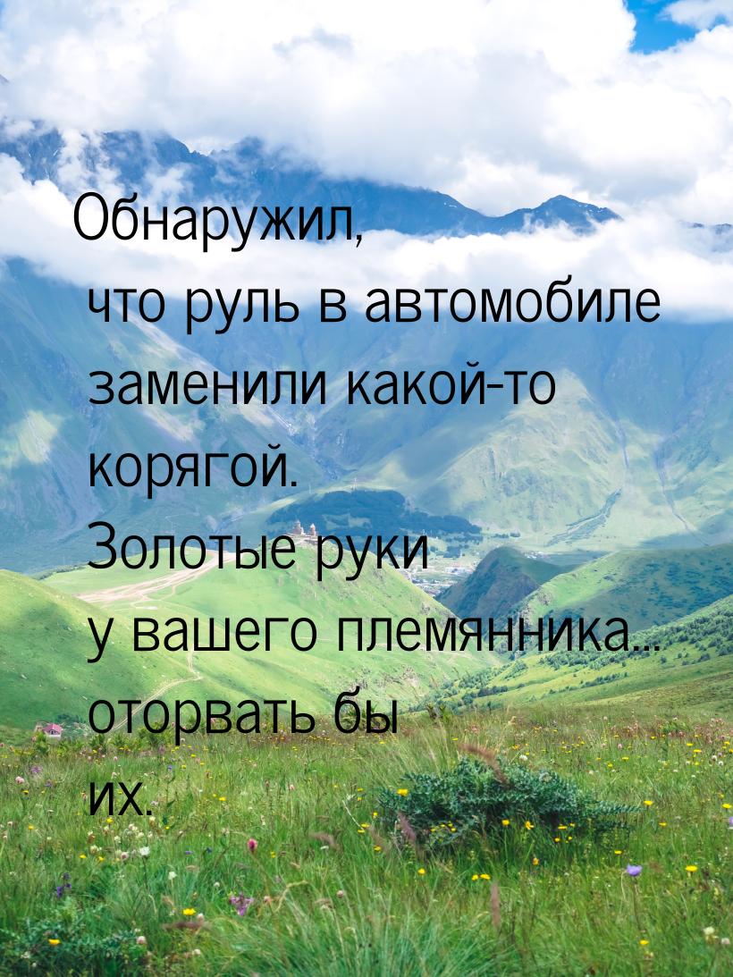 Обнаружил, что руль в автомобиле заменили какой-то корягой. Золотые руки у вашего племянни