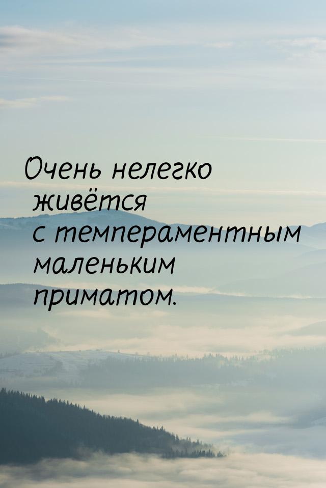 Очень нелегко живётся с темпераментным маленьким приматом.