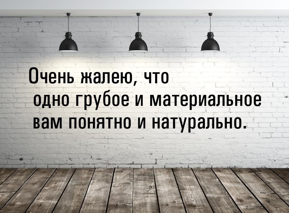 Очень жалею, что одно грубое и материальное вам понятно и натурально.