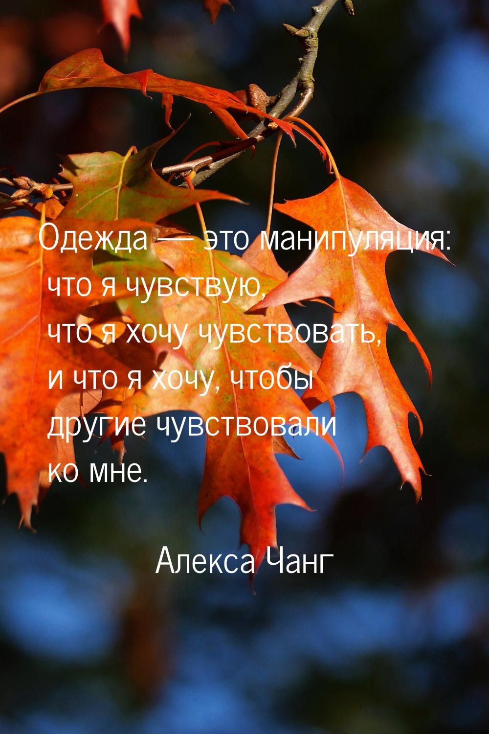 Одежда — это манипуляция: что я чувствую, что я хочу чувствовать, и что я хочу, чтобы друг