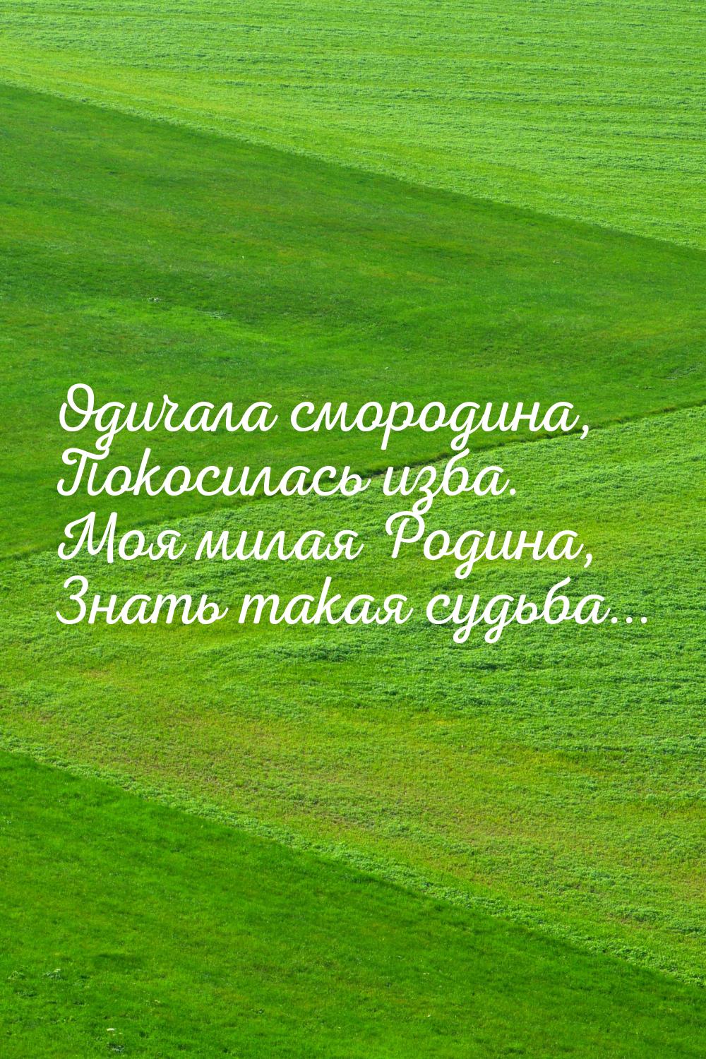 Одичала смородина, Покосилась изба. Моя милая Родина, Знать такая судьба...