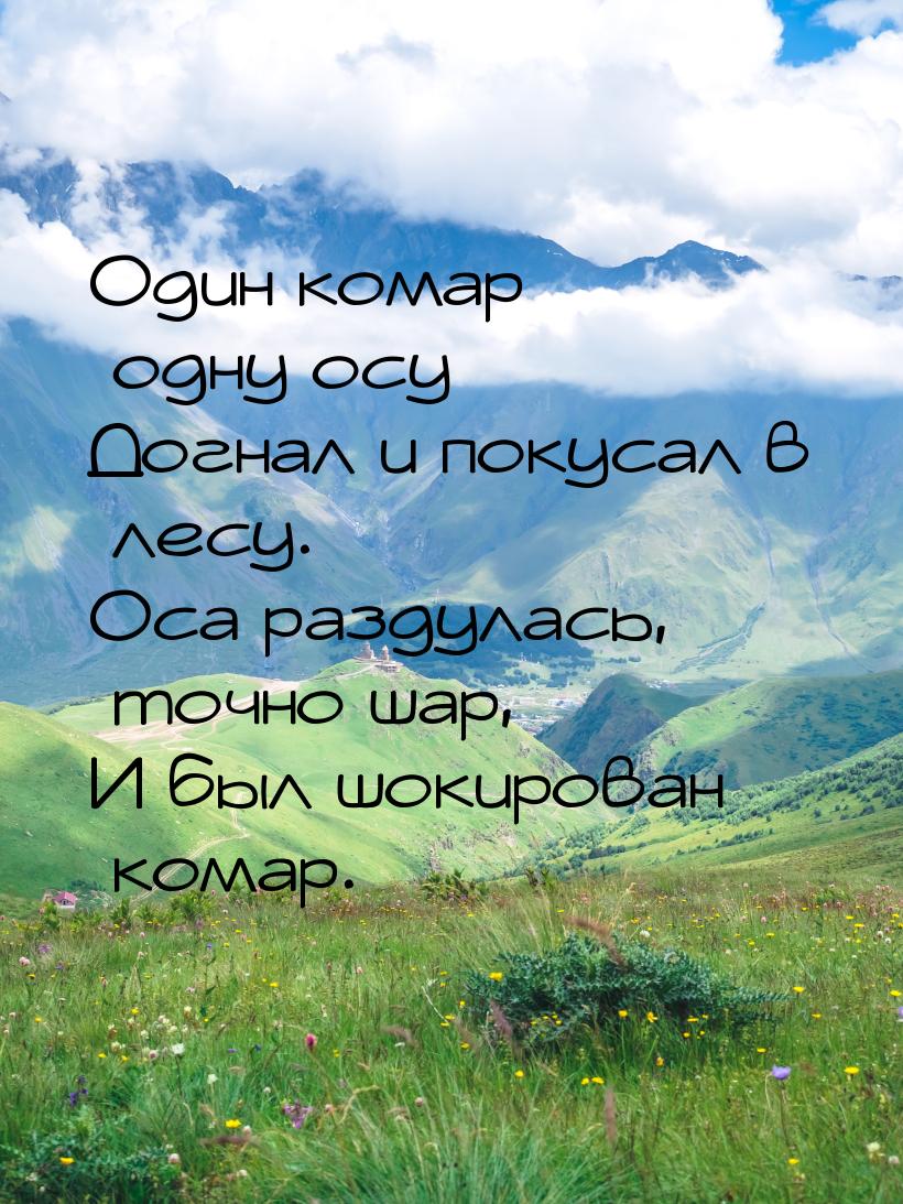 Один комар одну осу Догнал и покусал в лесу. Оса раздулась, точно шар, И был шокирован ком