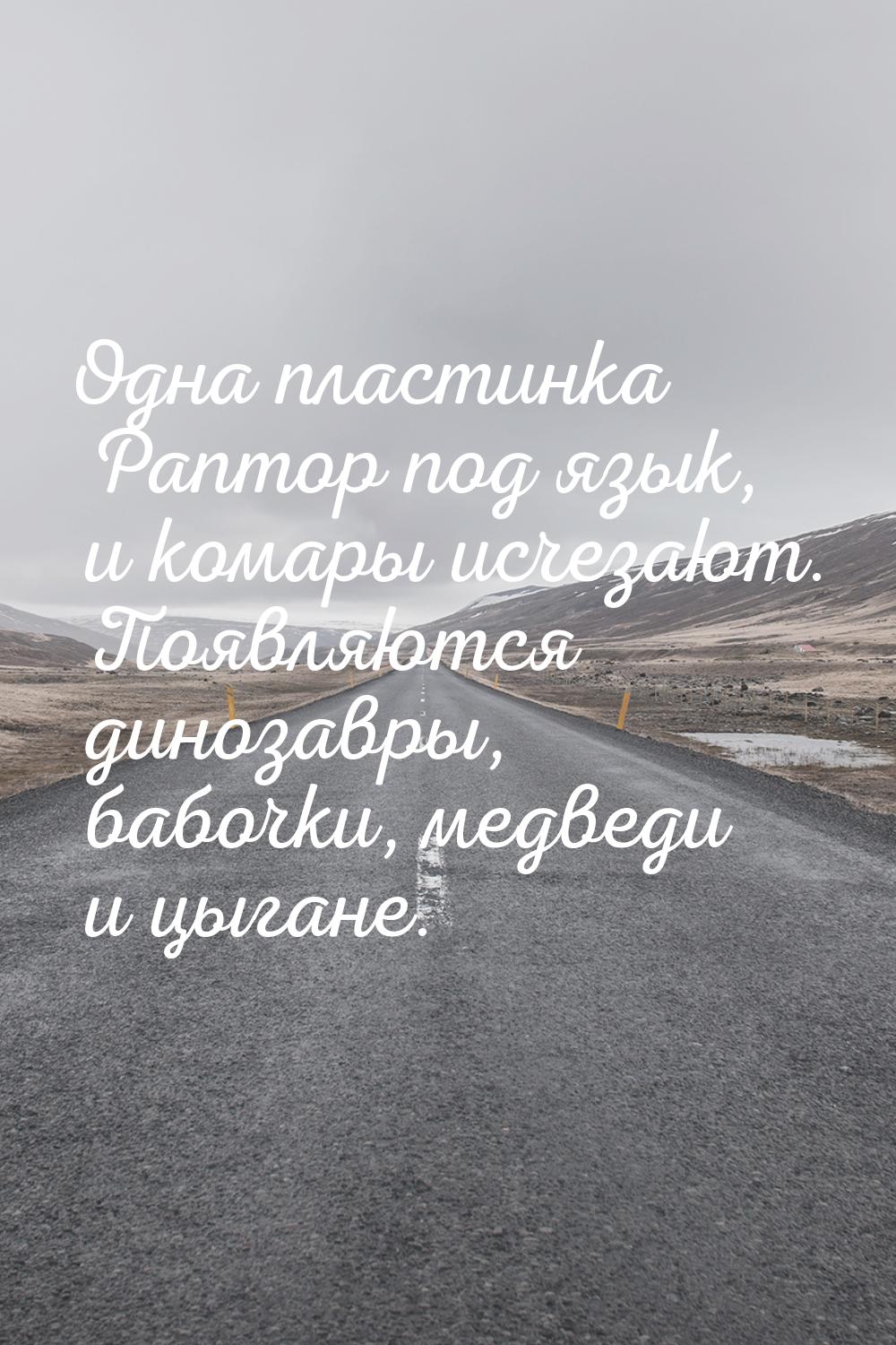 Одна пластинка Раптор под язык, и комары исчезают. Появляются динозавры, бабочки, медведи 