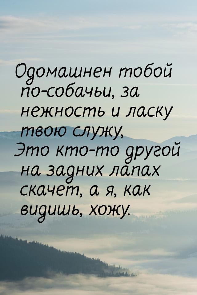 Одомашнен тобой по-собачьи, за нежность и ласку твою служу, Это кто-то другой на задних ла