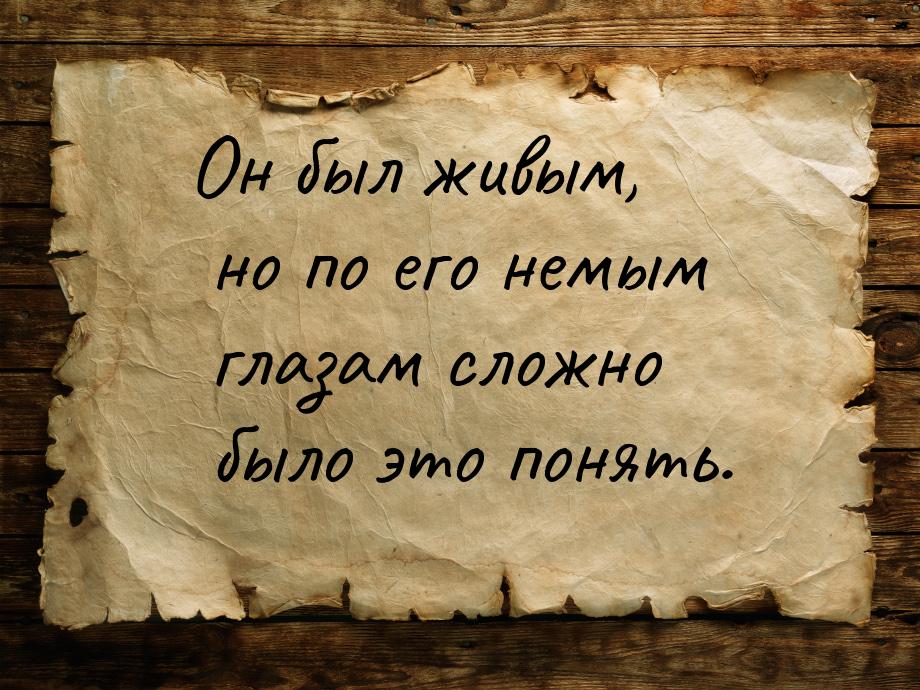 Он был живым, но по его немым глазам сложно было это понять.