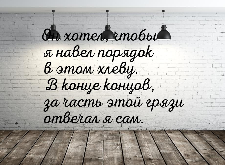 Он хотел, чтобы я навел порядок в этом хлеву. В конце концов, за часть этой грязи отвечал 