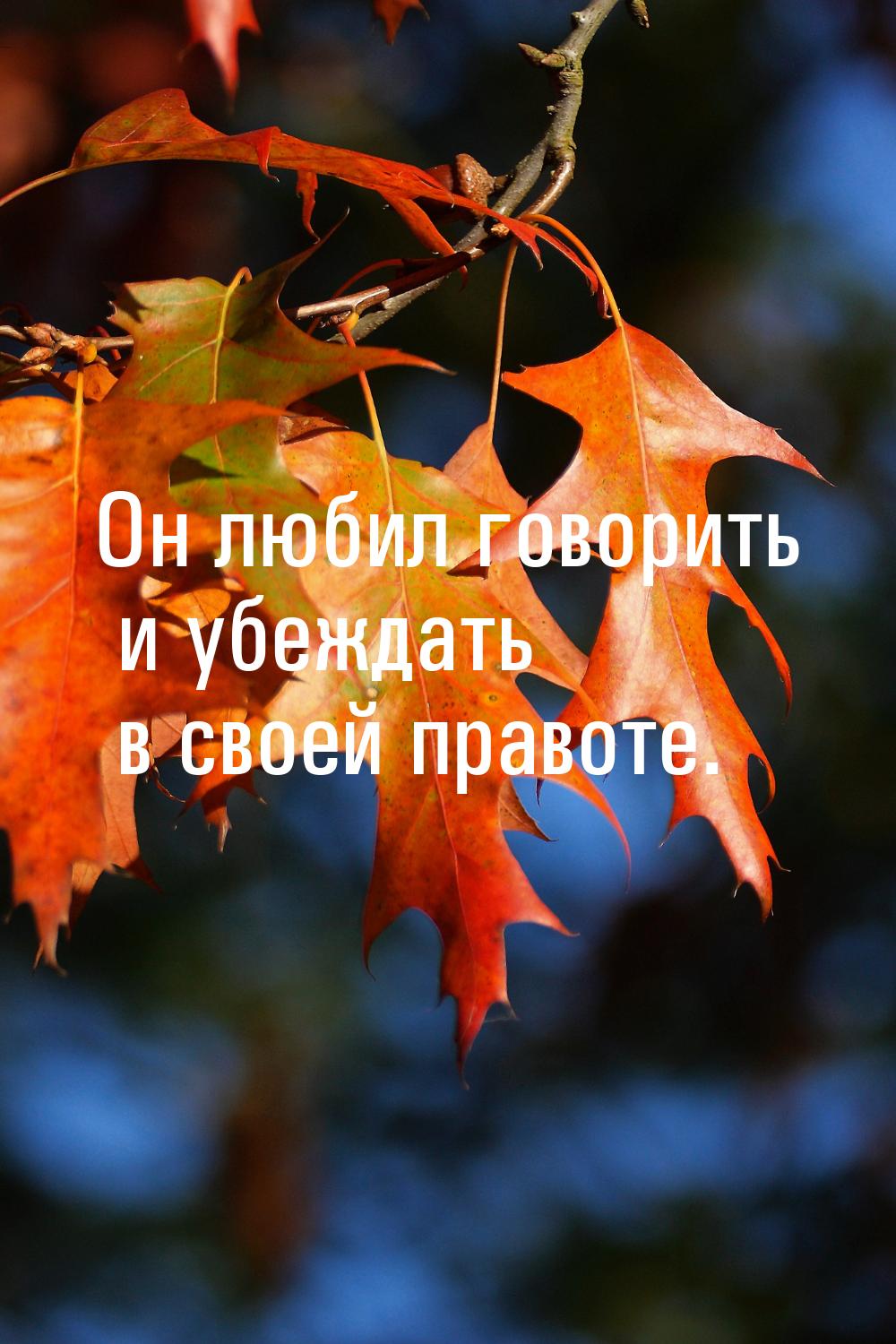 Он любил говорить и убеждать в своей правоте.