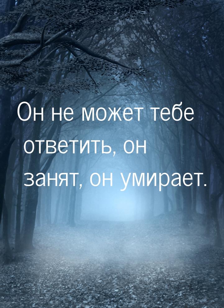 Он не может тебе ответить, он занят, он умирает.