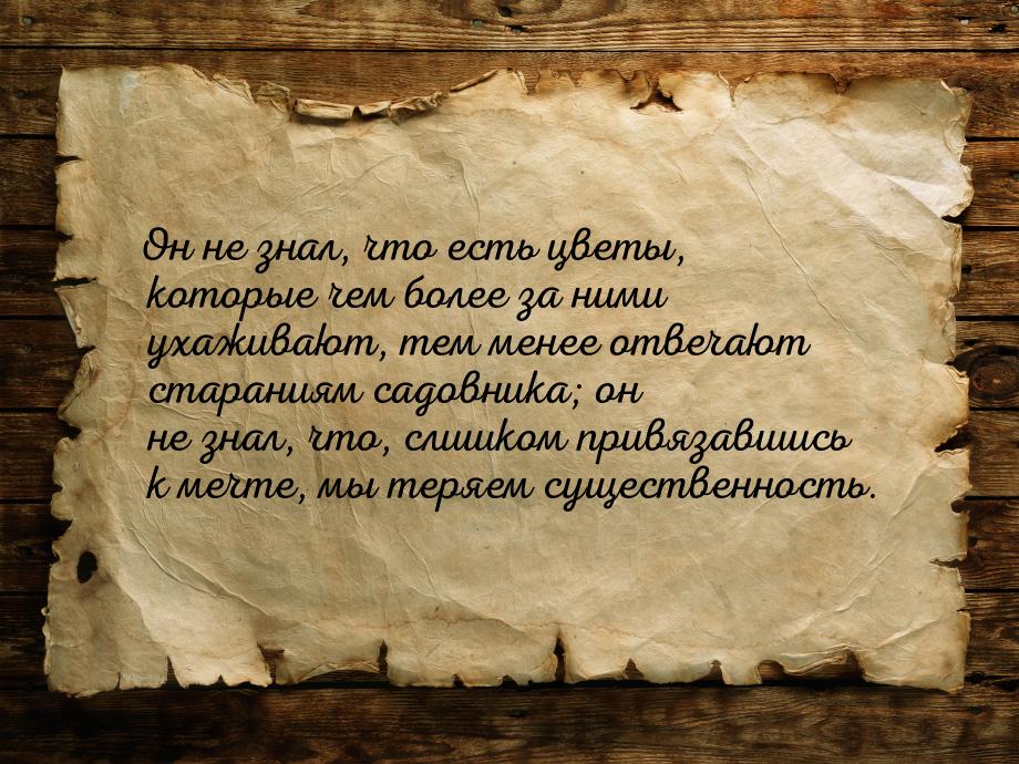 Он не знал, что есть цветы, которые чем более за ними ухаживают, тем менее отвечают старан