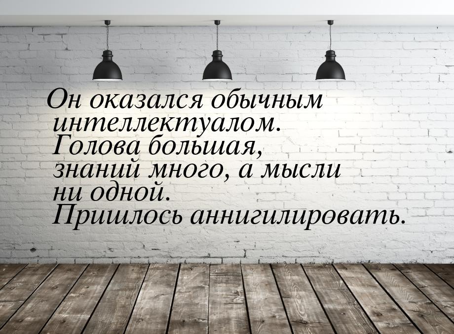 Он оказался обычным интеллектуалом. Голова большая, знаний много, а мысли ни одной. Пришло