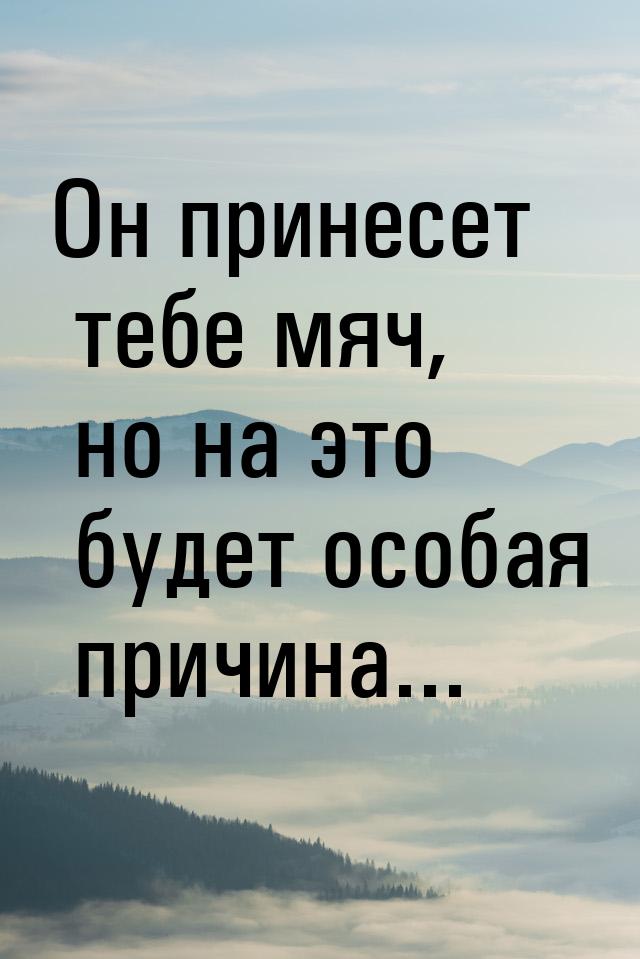 Он принесет тебе мяч, но на это будет особая причина...