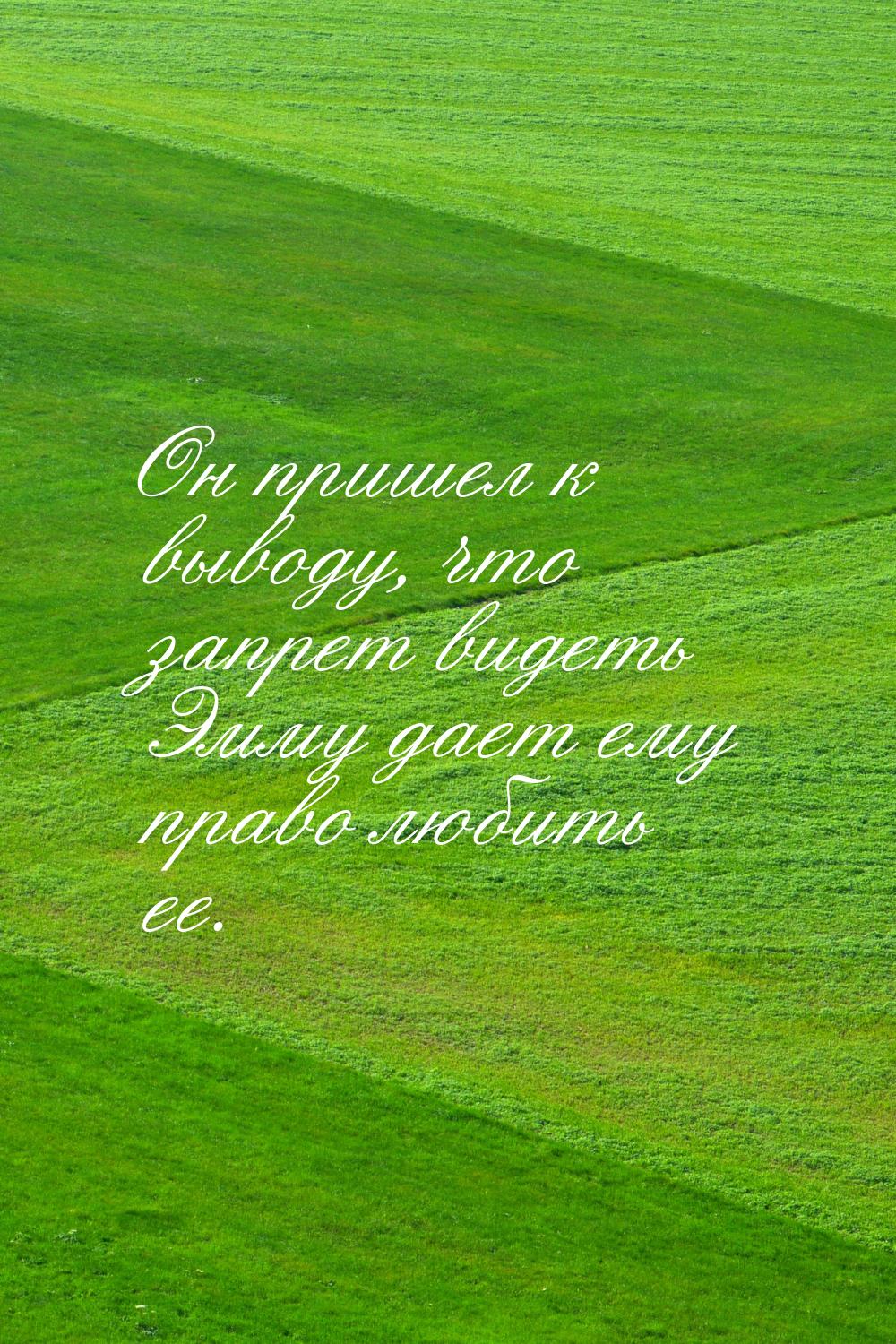 Он пришел к выводу, что запрет видеть Эмму дает ему право любить ее.