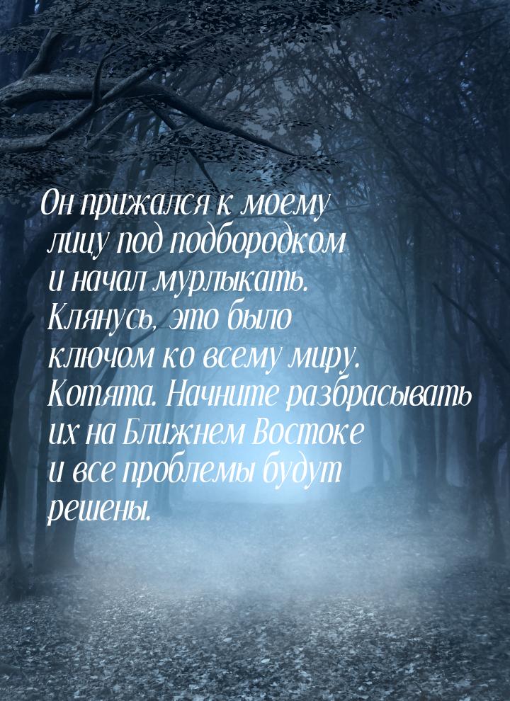 Он прижался к моему лицу под подбородком и начал мурлыкать. Клянусь, это было ключом ко вс