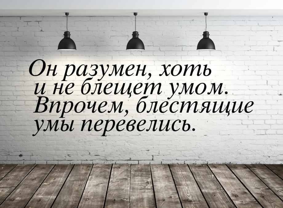 Он разумен, хоть и не блещет умом. Впрочем, блестящие умы перевелись.