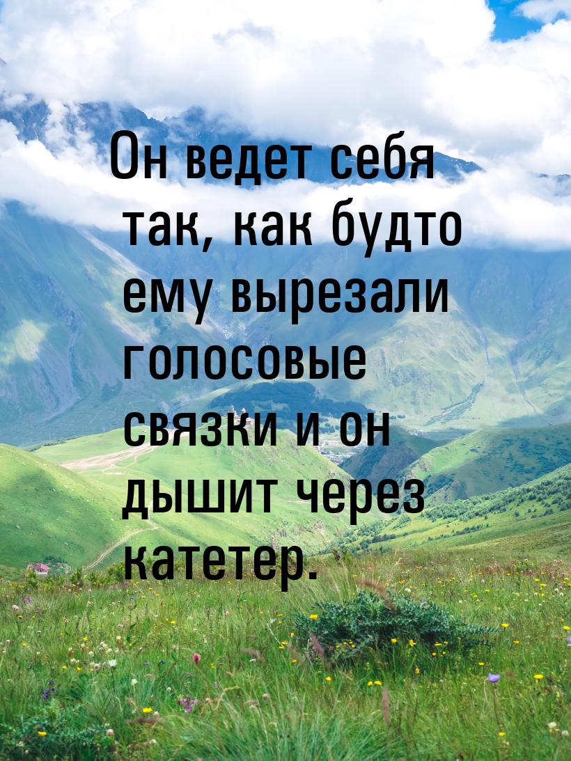 Он ведет себя так, как будто ему вырезали голосовые связки и он дышит через катетер.