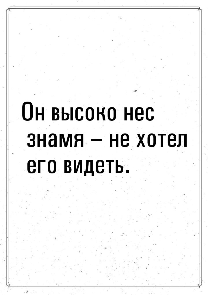 Он высоко нес знамя – не хотел его видеть.