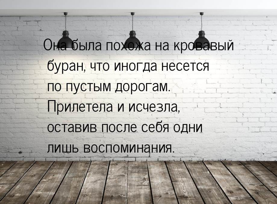 Она была похожа на кровавый буран, что иногда несется по пустым дорогам. Прилетела и исчез