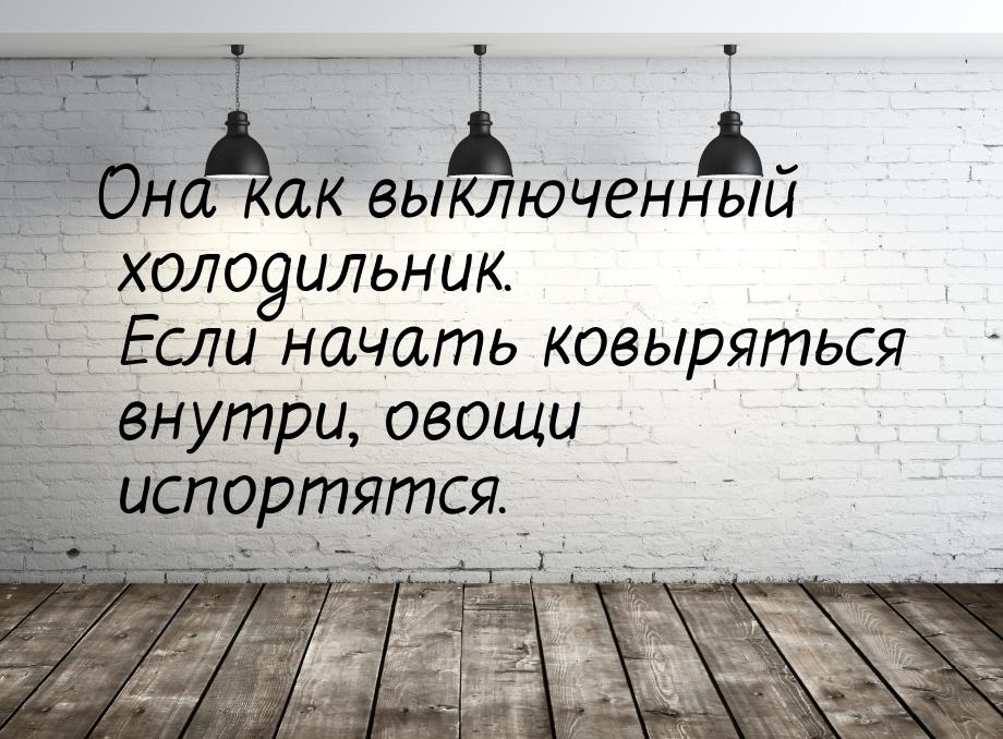 Она как выключенный холодильник. Если начать ковыряться внутри, овощи испортятся.