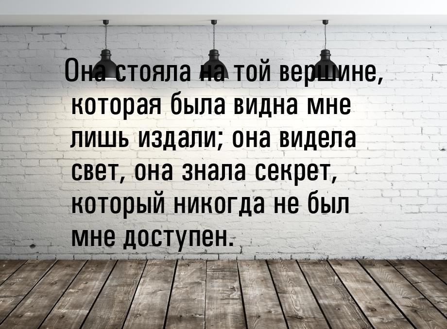 Она стояла на той вершине, которая была видна мне лишь издали; она видела свет, она знала 