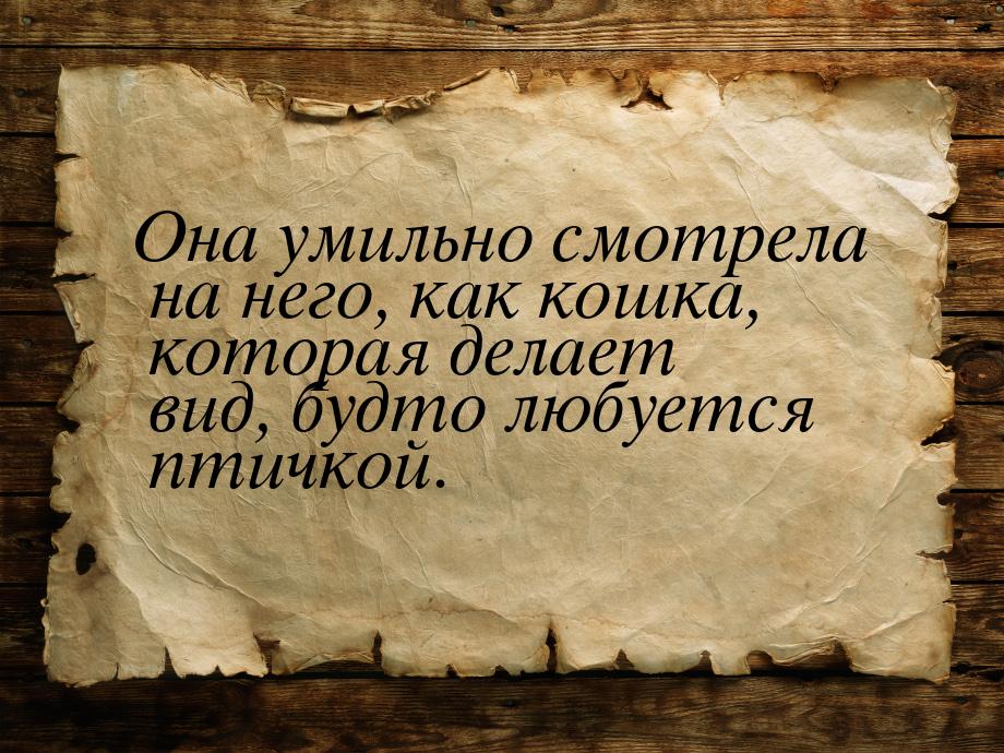 Она умильно смотрела на него, как кошка, которая делает вид, будто любуется птичкой.