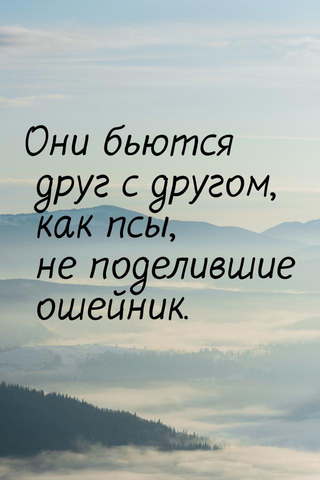 Они бьются друг с другом, как псы, не поделившие ошейник.