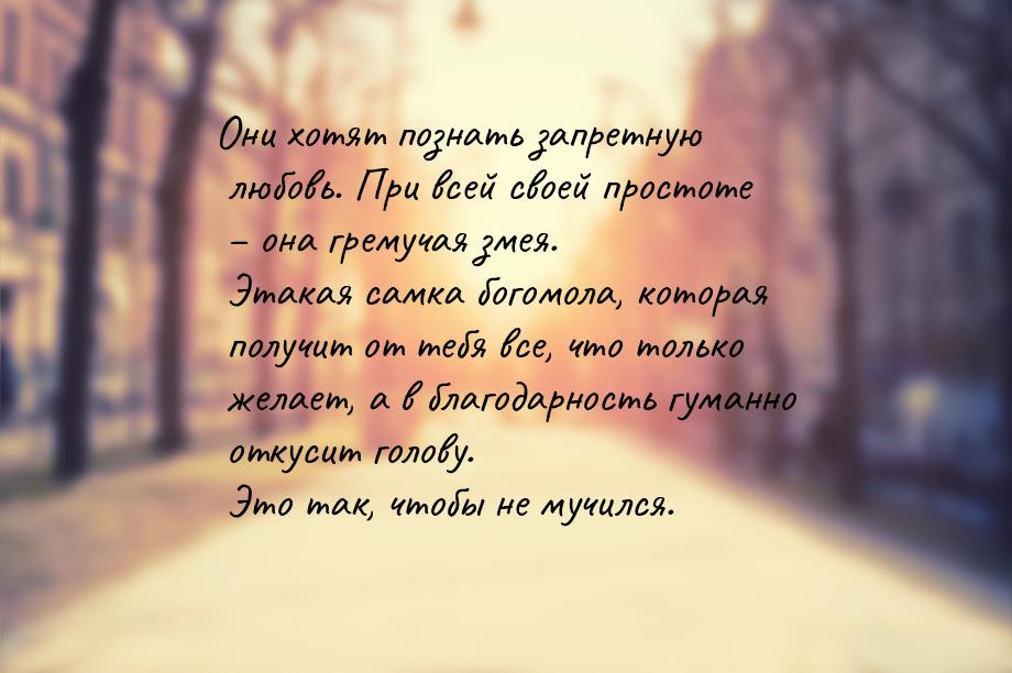 Они хотят познать запретную любовь. При всей своей простоте – она гремучая змея. Этакая са