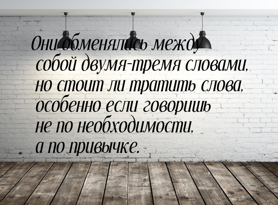 Они обменялись между собой двумя-тремя словами, но стоит ли тратить слова, особенно если г