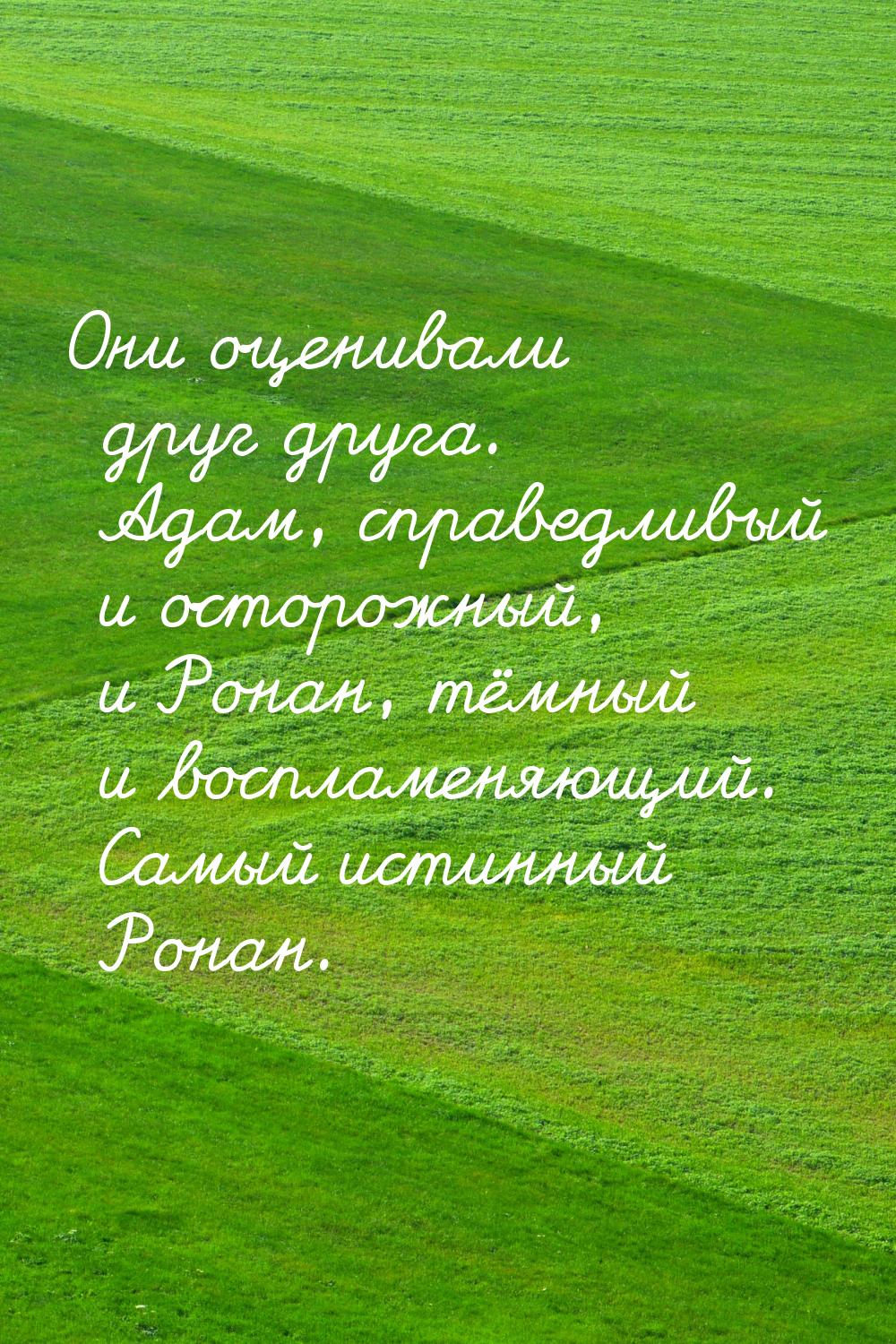 Они оценивали друг друга. Адам, справедливый и осторожный, и Ронан, тёмный и воспламеняющи