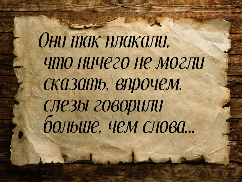 Они так плакали, что ничего не могли сказать, впрочем, слезы говорили больше, чем слова...