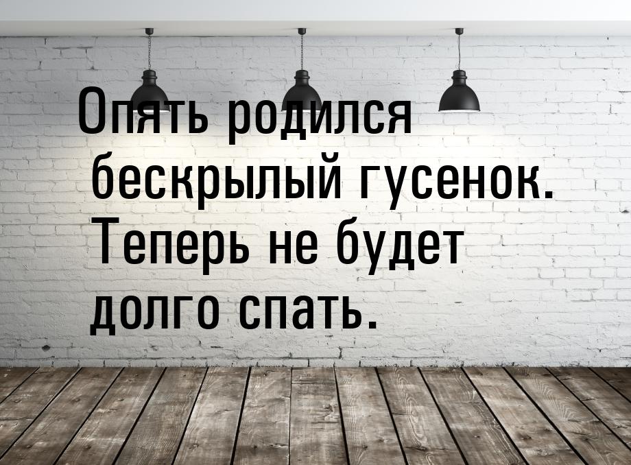 Опять родился бескрылый гусенок. Теперь не будет долго спать.