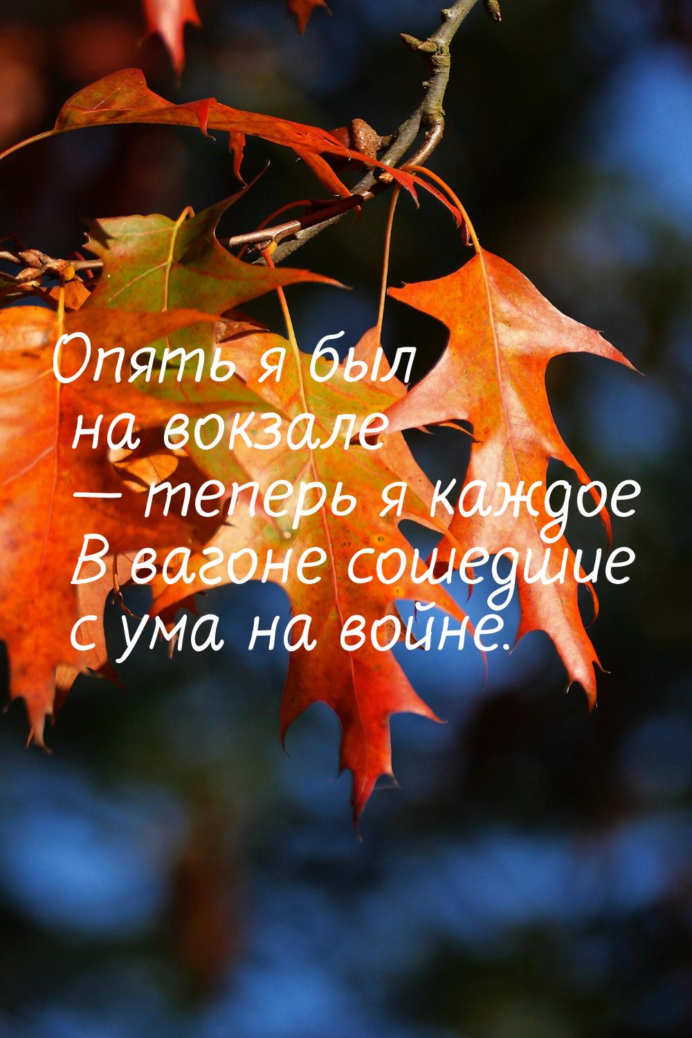 Опять я был на вокзале — теперь я каждое В вагоне сошедшие с ума на войне.