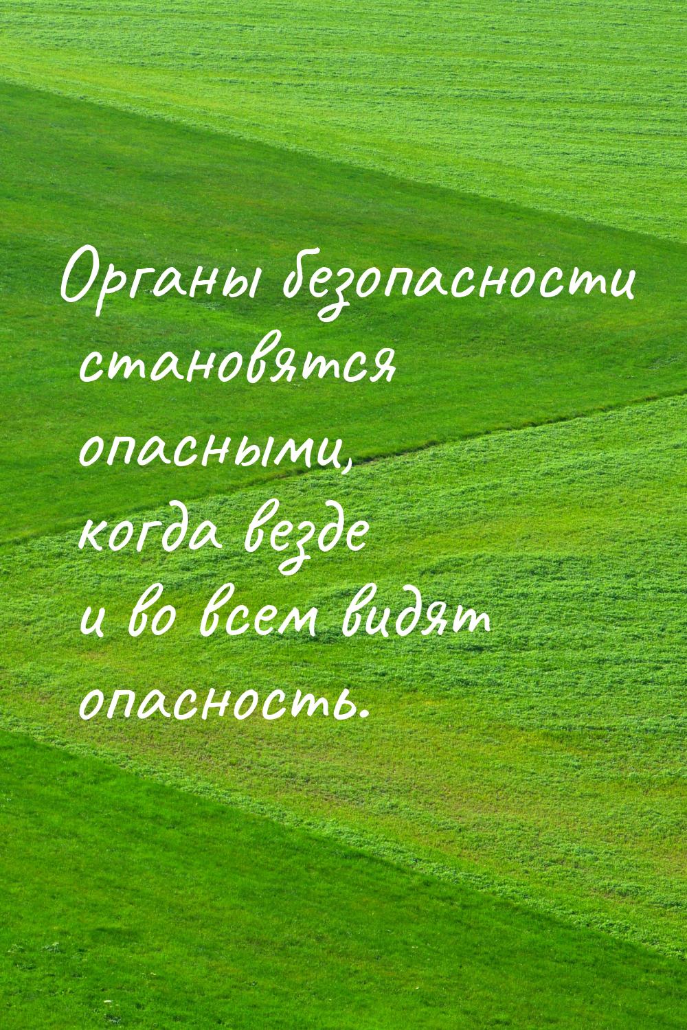 Органы безопасности становятся опасными, когда везде и во всем видят опасность.