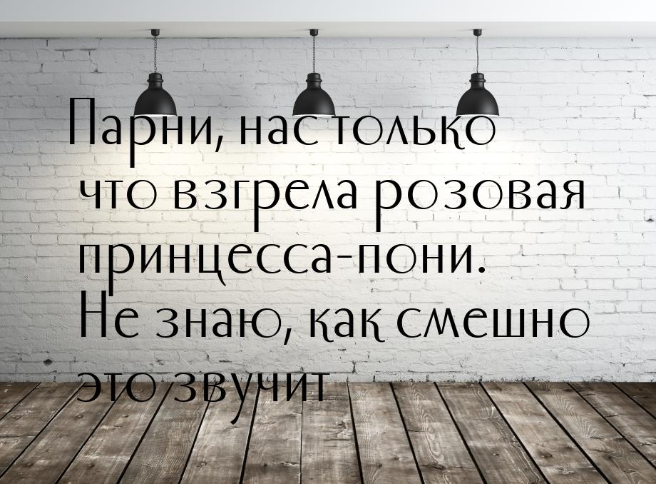 Парни, нас только что взгрела розовая принцесса-пони. Не знаю, как смешно это звучит…