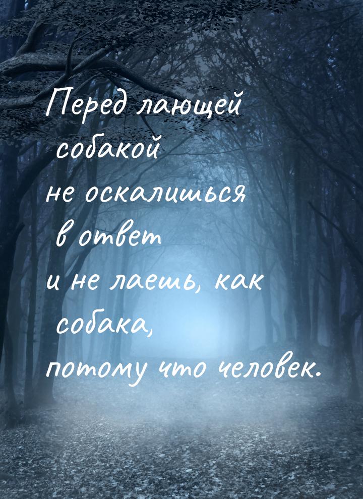 Перед лающей собакой не оскалишься в ответ и не лаешь, как собака, потому что человек.