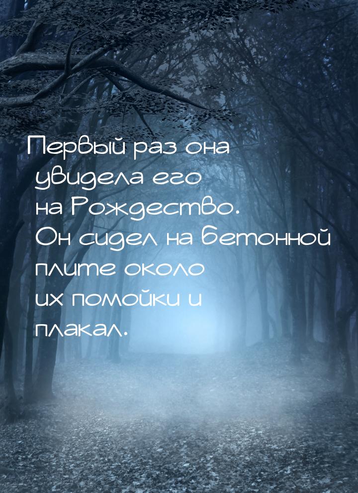Первый раз она увидела его на Рождество. Он сидел на бетонной плите около их помойки и пла