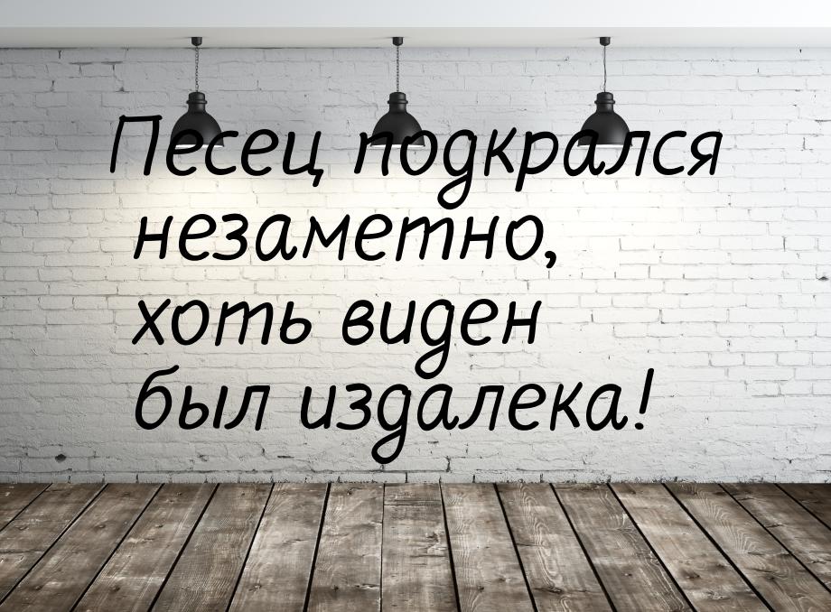 Песец подкрался незаметно, хоть виден был издалека!