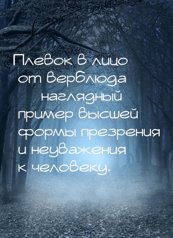 Плевок в лицо от верблюда — наглядный пример высшей формы презрения и неуважения к человек