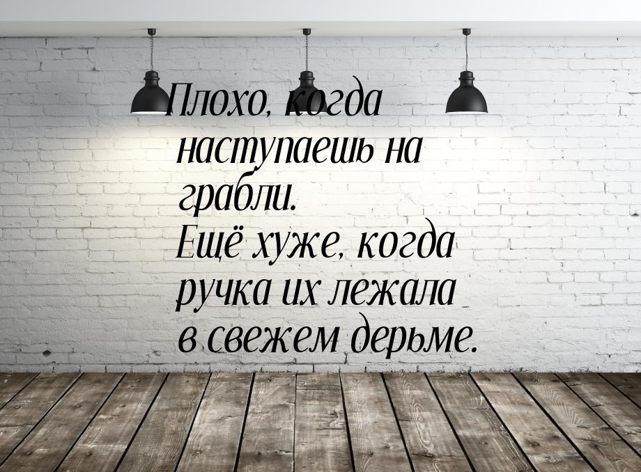 Плохо, когда наступаешь на грабли. Ещё хуже, когда ручка их лежала в свежем дерьме.