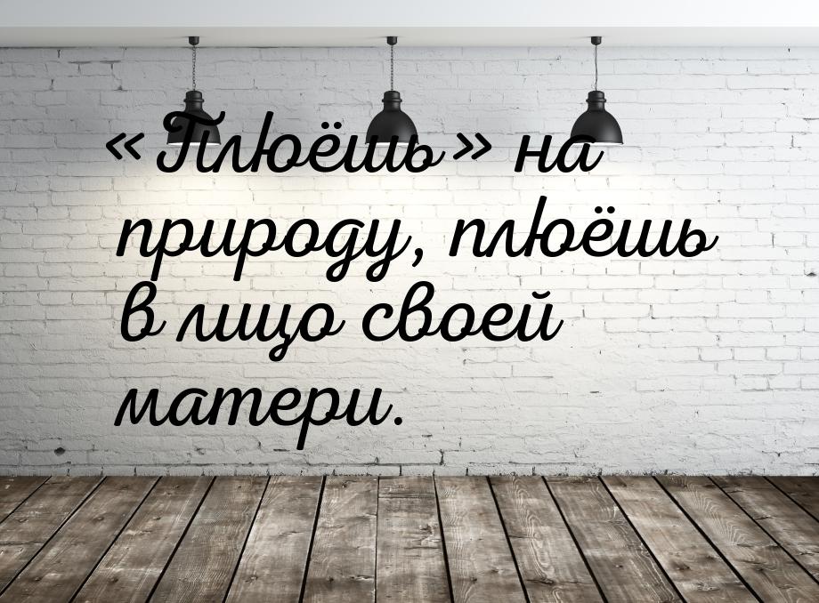 Плюёшь на природу, плюёшь в лицо своей матери.