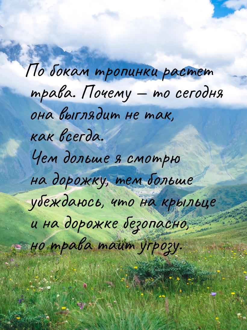 По бокам тропинки растет трава. Почему  то сегодня она выглядит не так, как всегда.